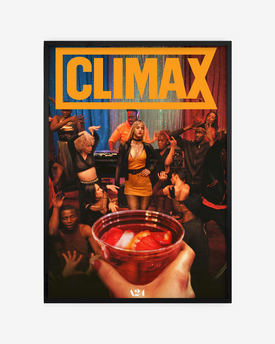 Climax - Gaspar Noé (3)