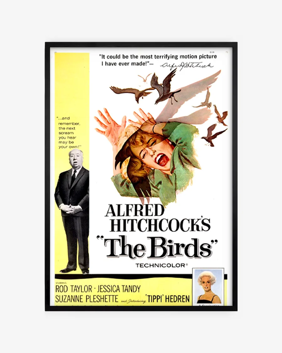 The Birds - Alfred Hitchcock